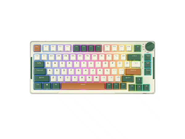 Keyboard Royal Kludge RK H81 (Time Machine)