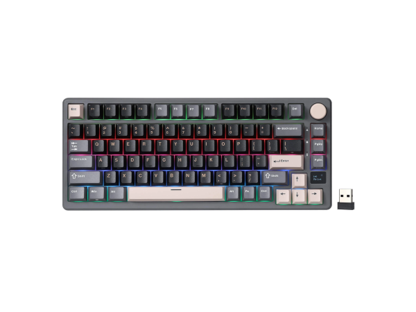 Keyboard Royal Kludge RK M75 (Phantom)
