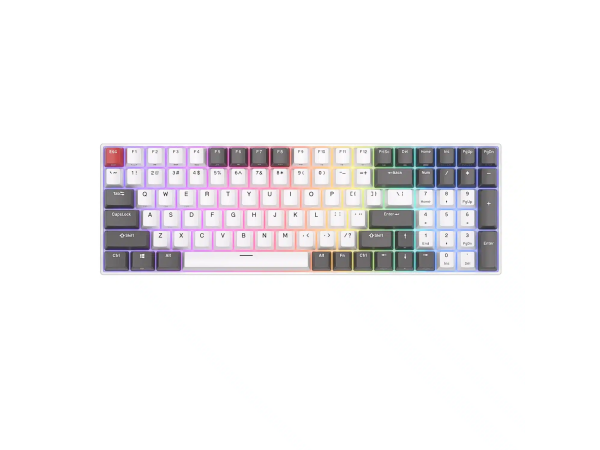 Keyboard Royal Kludge RK100 (White/Grey)