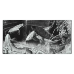 Mouse pad "LIT Mousepad" Carp with Wisteria, by Yoshitoshi (Dark)
